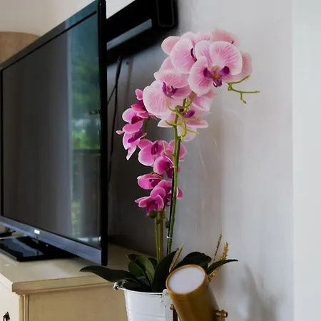 بيت ضيافة Doodle's Amazing -walensee - Flumserberg - Churfirsten - Heidiland - Pool - Sauna مولس