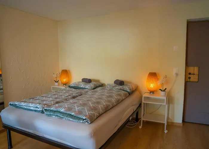 Doodle's Amazing -walensee - Flumserberg - Churfirsten - Heidiland - Pool - Sauna ゲストハウス *