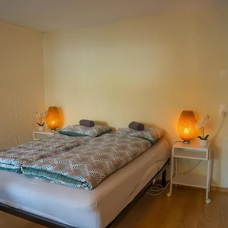 Doodle's Amazing -walensee - Flumserberg - Churfirsten - Heidiland - Pool - Sauna Pensjonat *