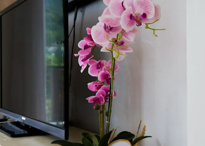 Casa de hóspedes Doodle's Amazing -walensee - Flumserberg - Churfirsten - Heidiland - Pool - Sauna Mols