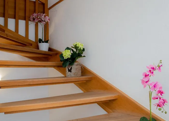 Doodle's Amazing -walensee - Flumserberg - Churfirsten - Heidiland - Pool - Sauna Mols